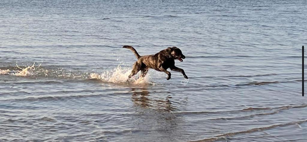 Zierow Ostsee Eksteriør billede